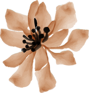 rose and flower brown pastel color warm isolated clipart