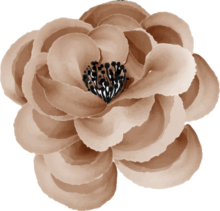 rose and flower brown pastel color warm isolated clipart